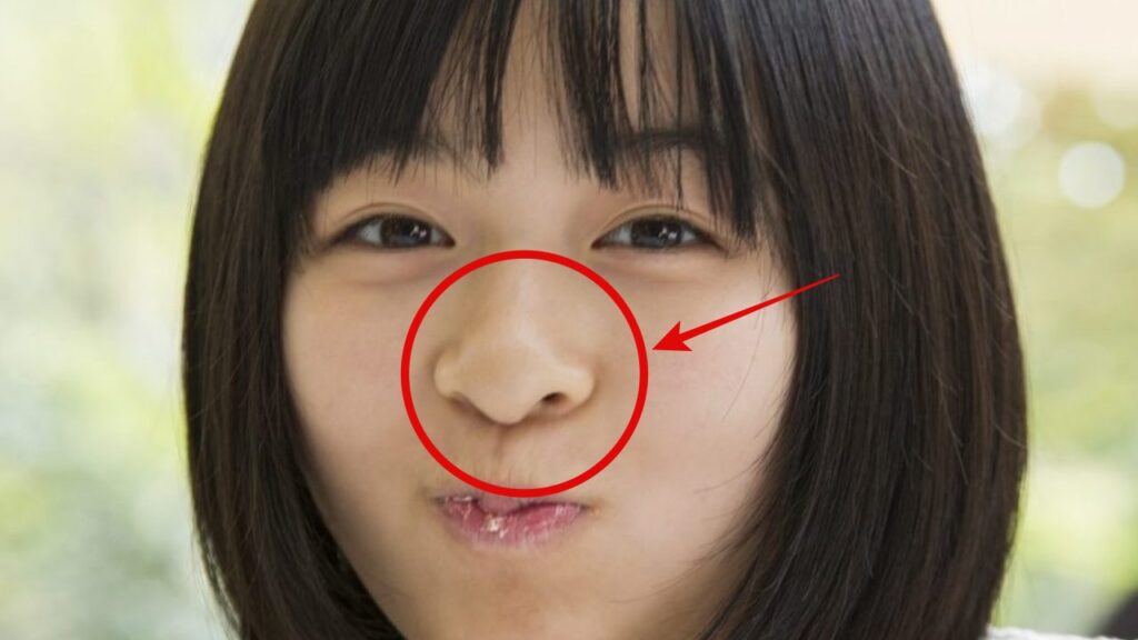 森七菜の鼻画像1