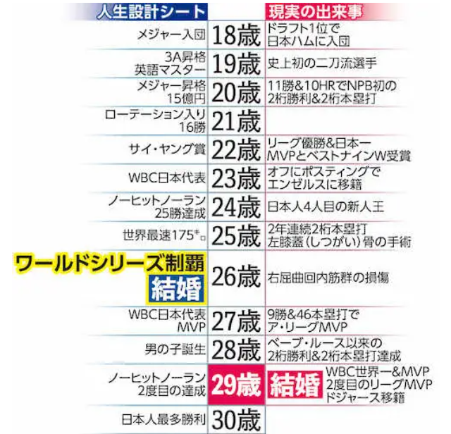 夢実現シートの内容