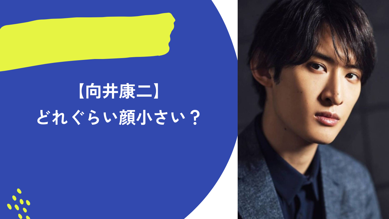 向井康二　アイキャッチ