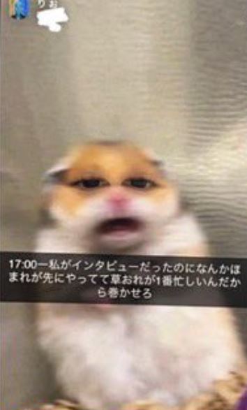SNS投稿画像３