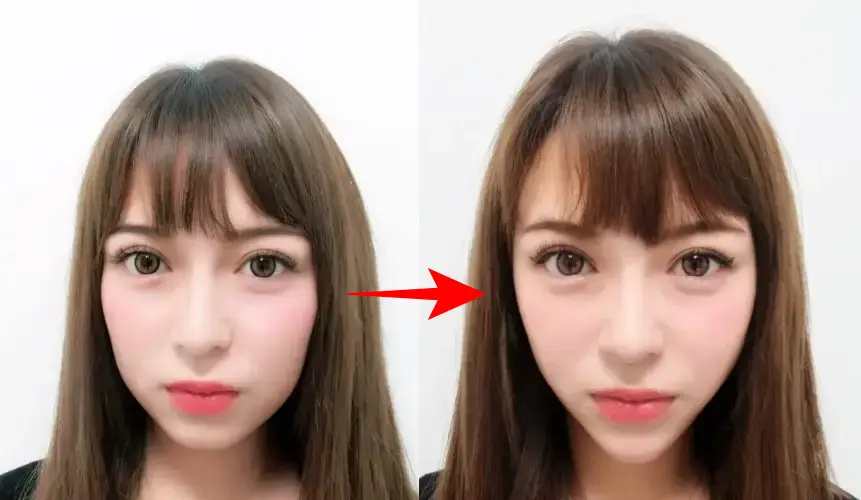 進撃のノア輪郭比較画像