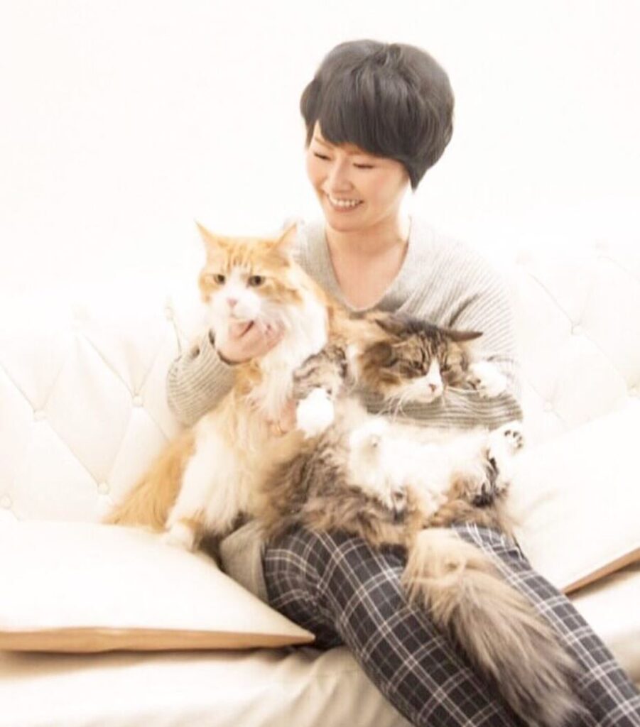 遠野なぎこと愛猫