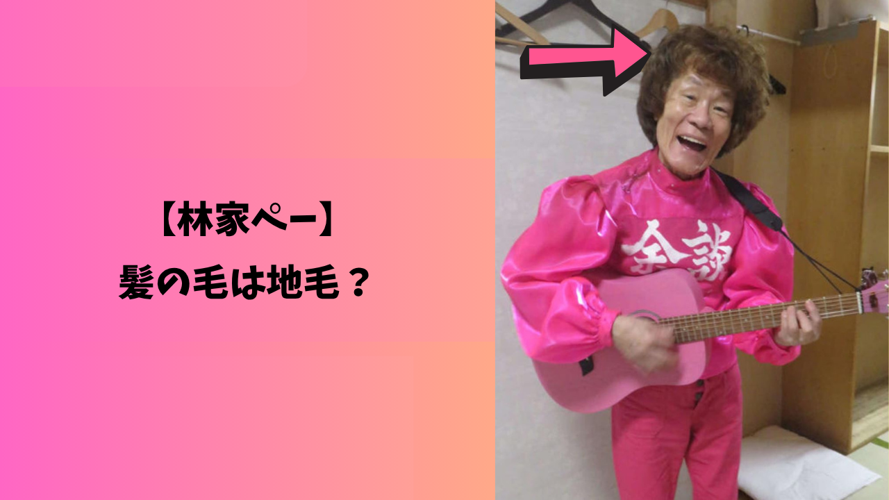 林家ペー　地毛　アイキャッチ